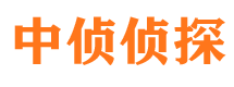 阳春调查事务所